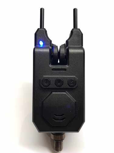 King carp fishing - king, electronic